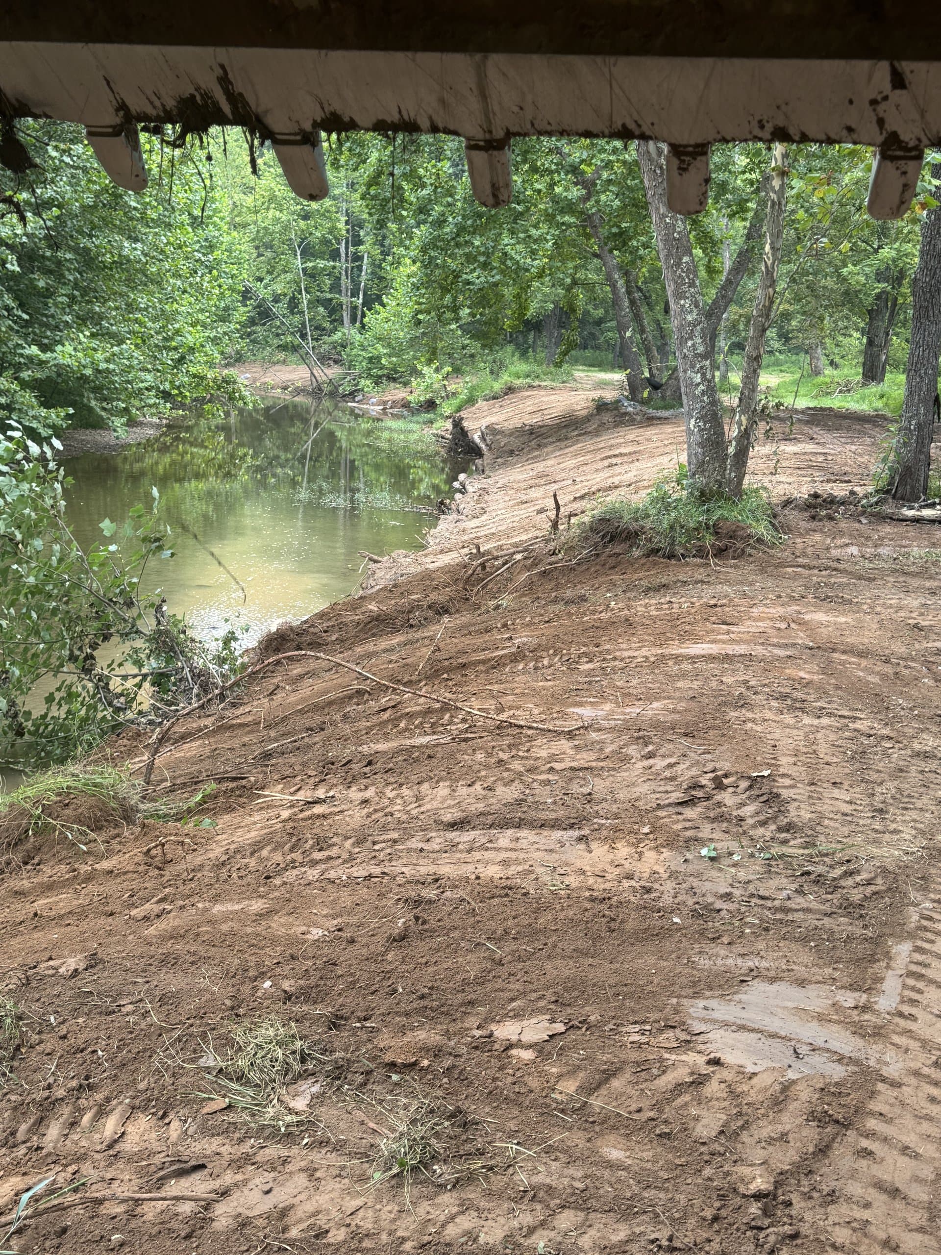 Slope reshaped between the tree line and the meadow