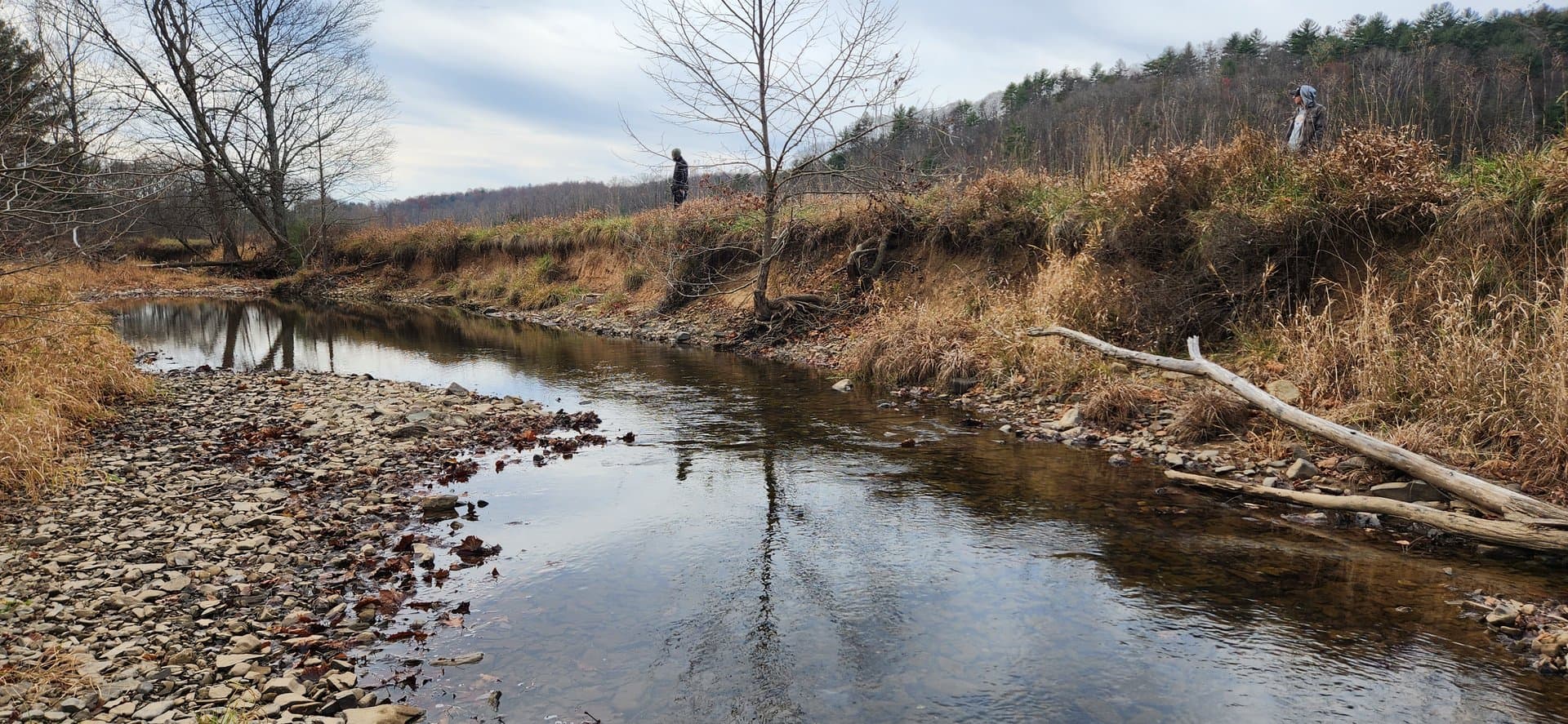 Wide meander on the meadow stream before bank stabilization