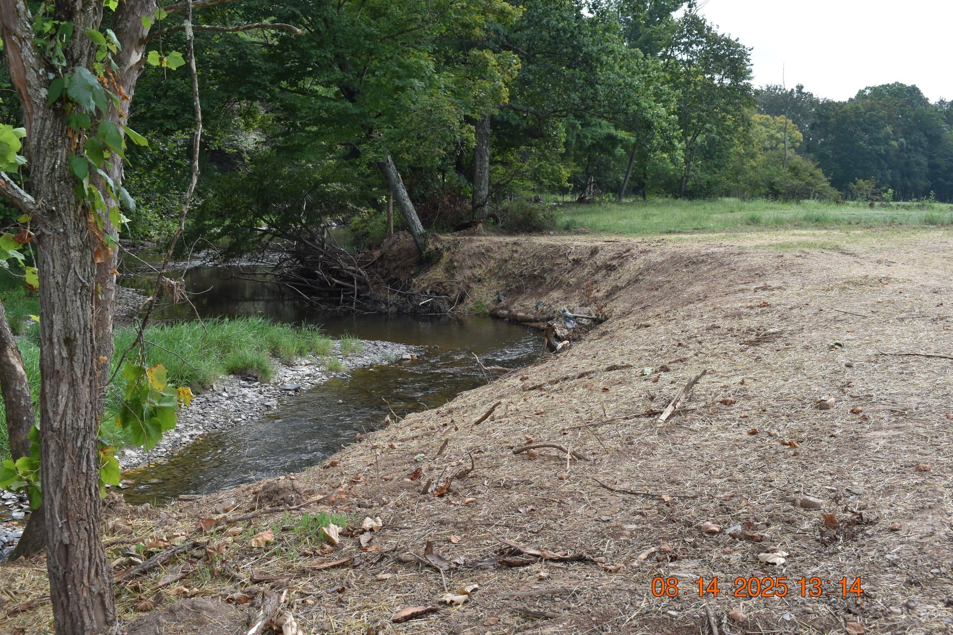 Cleared streambank with restored channel cutting through the meadow