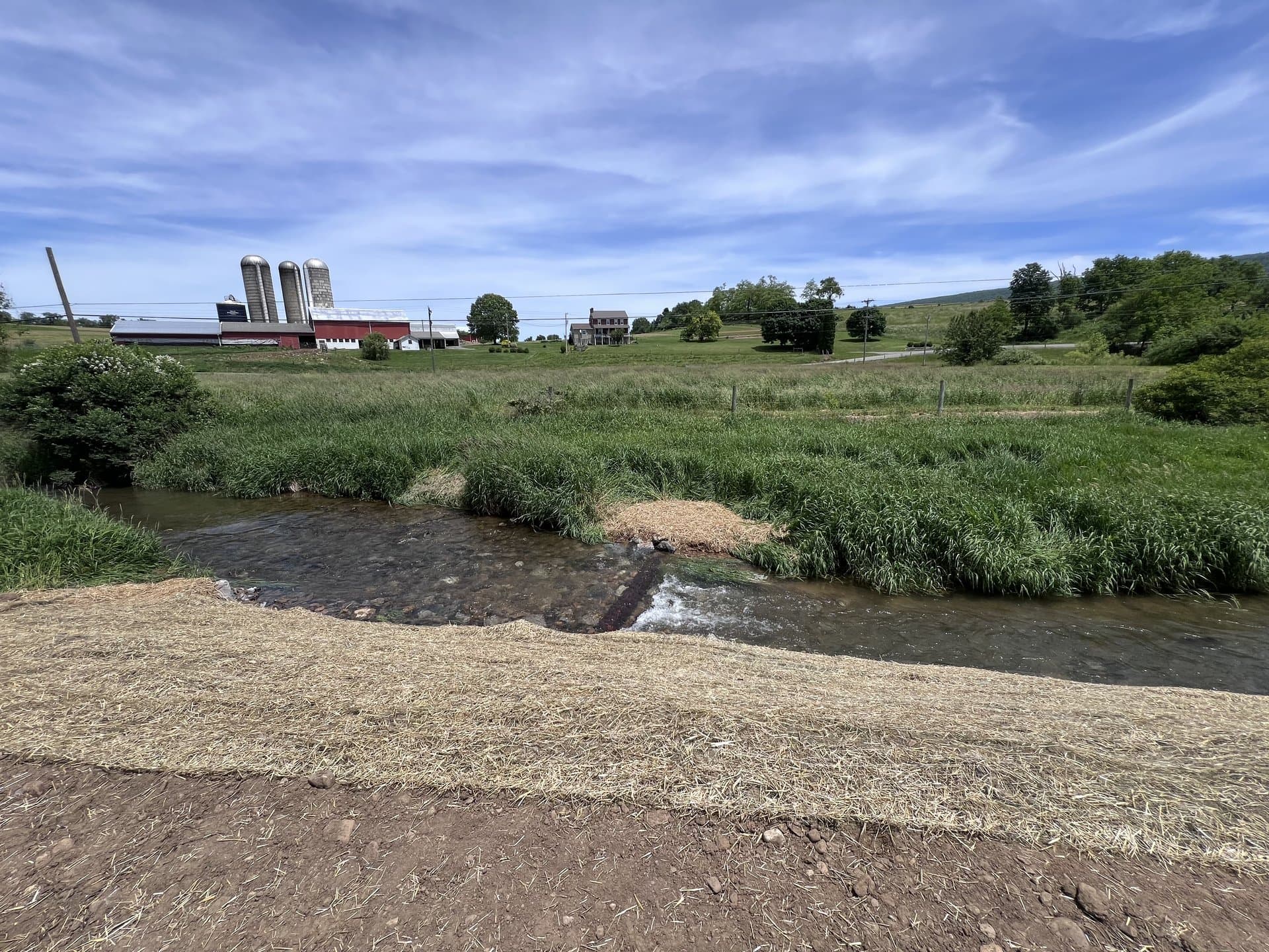 Restored meadow stream with farm silos in the background