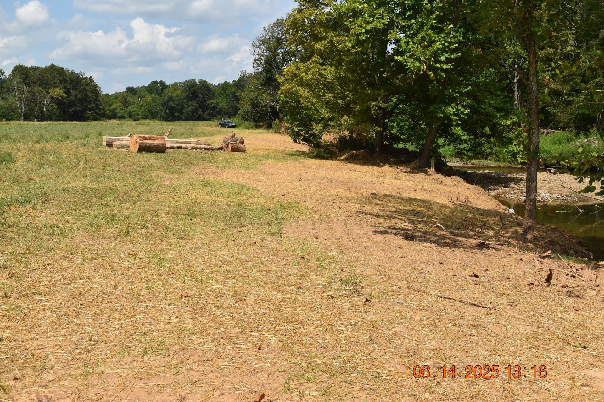 Site clearing complete with logs staged in the meadow