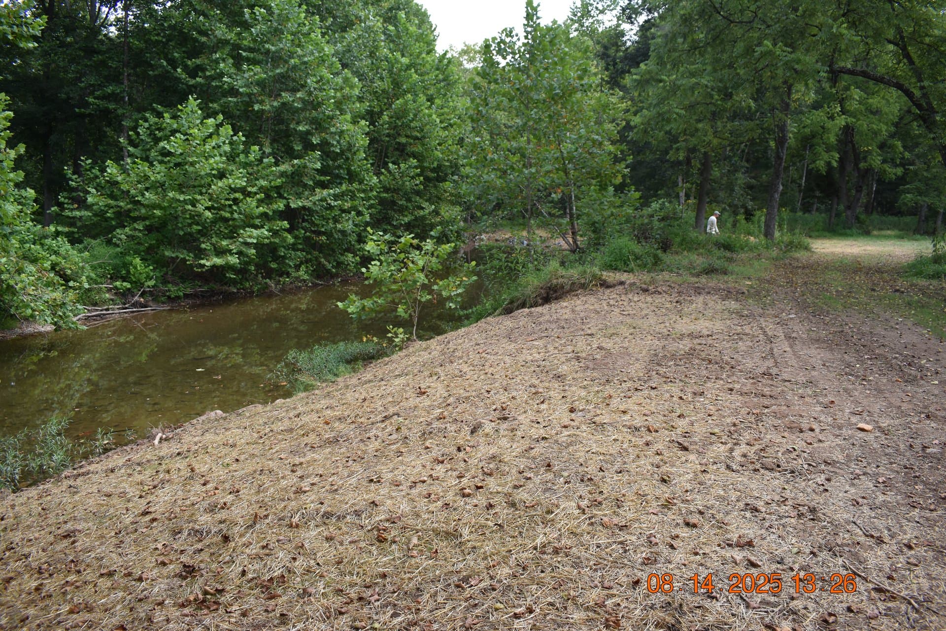 Long mulched bank running along the restored stream channel
