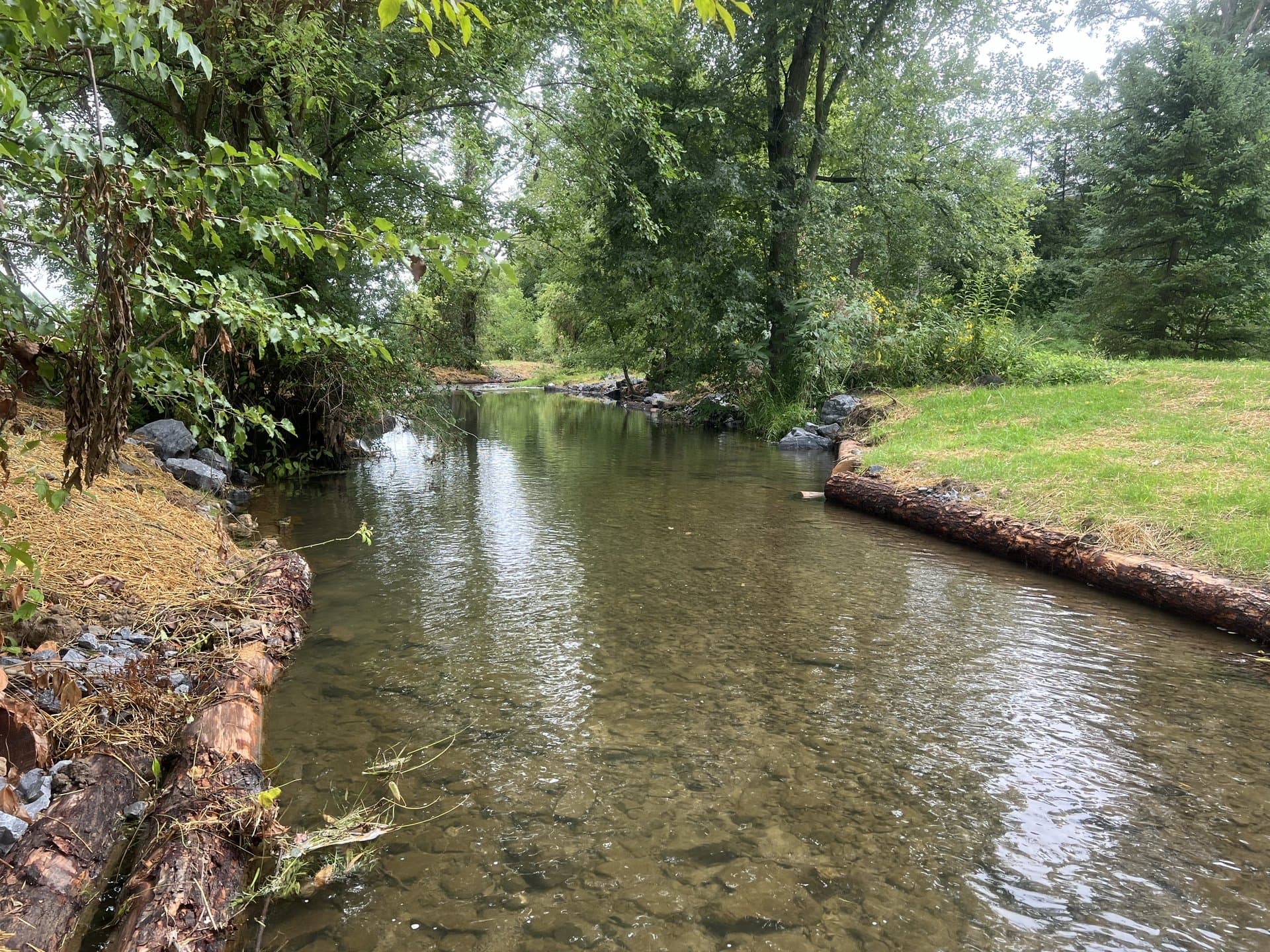 Park stream with log deflector placed to redirect channel flow