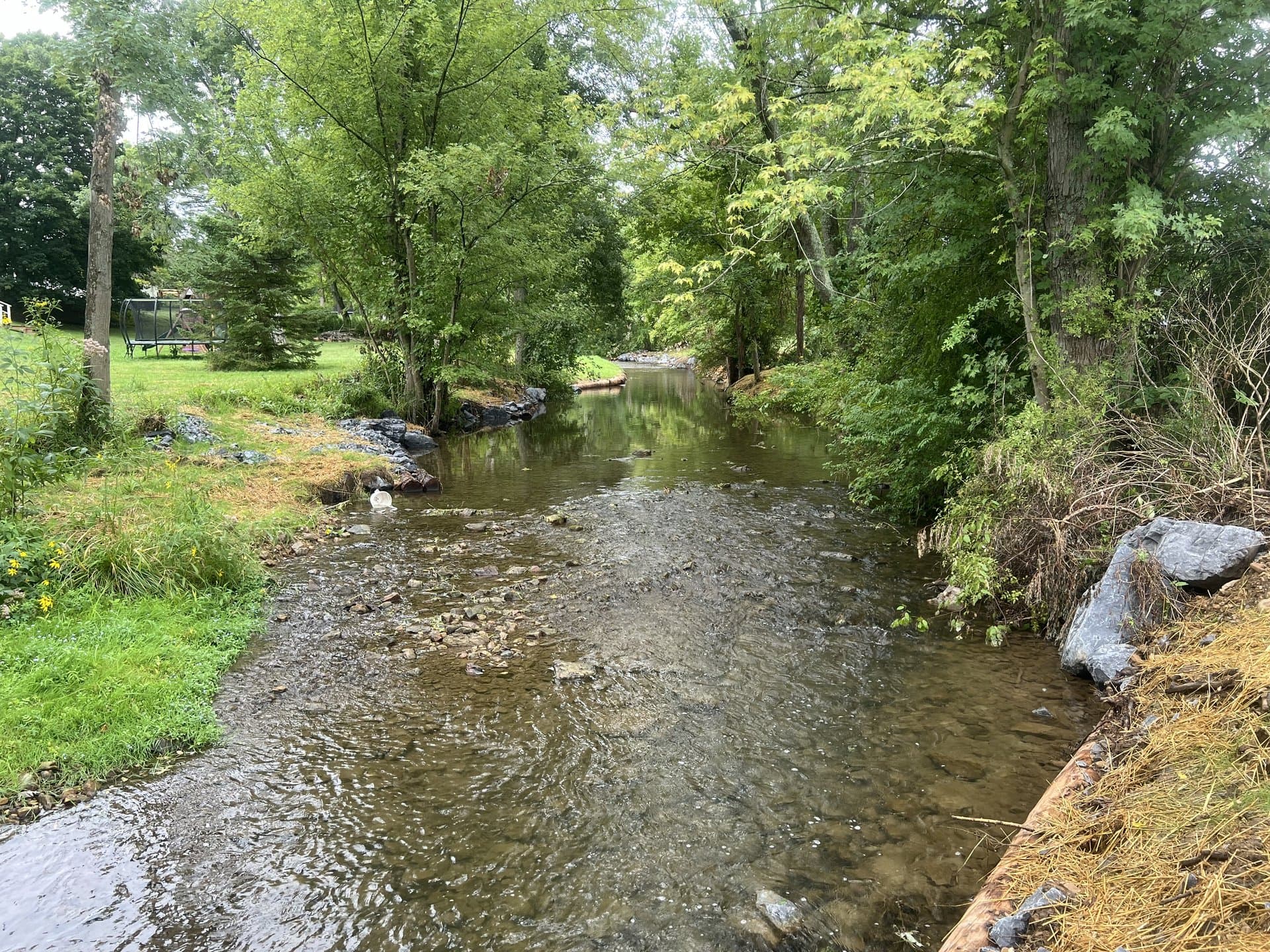 Restored park stream with shallow pool and stone toe