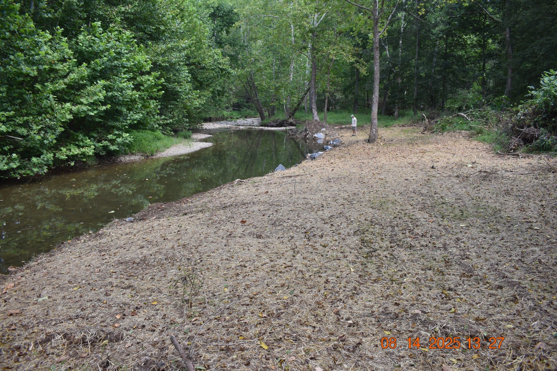 Wide restored streambank with calm pool and walker in the distance