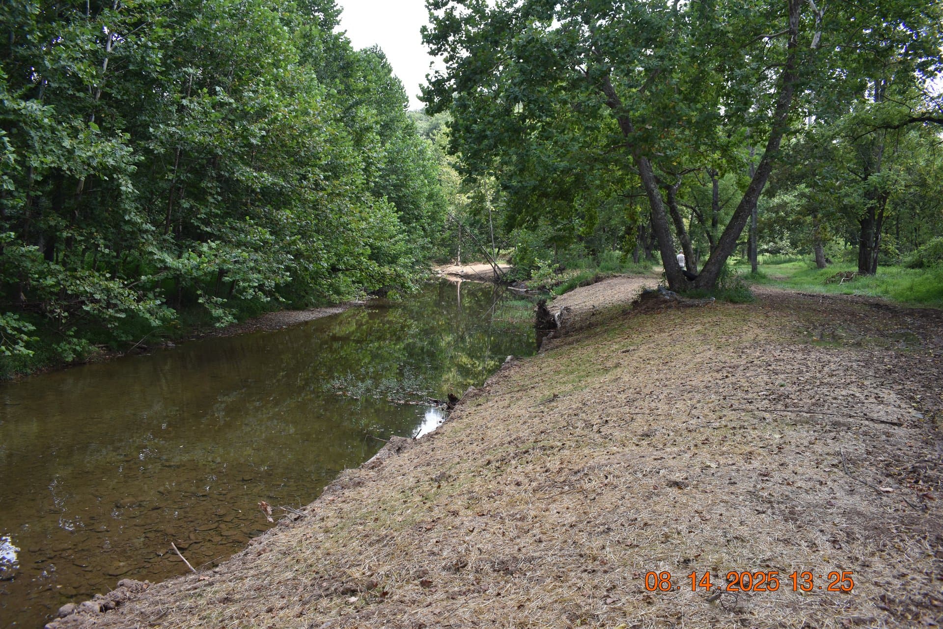 Restored stream pool framed by mature trees with stable mulched bank