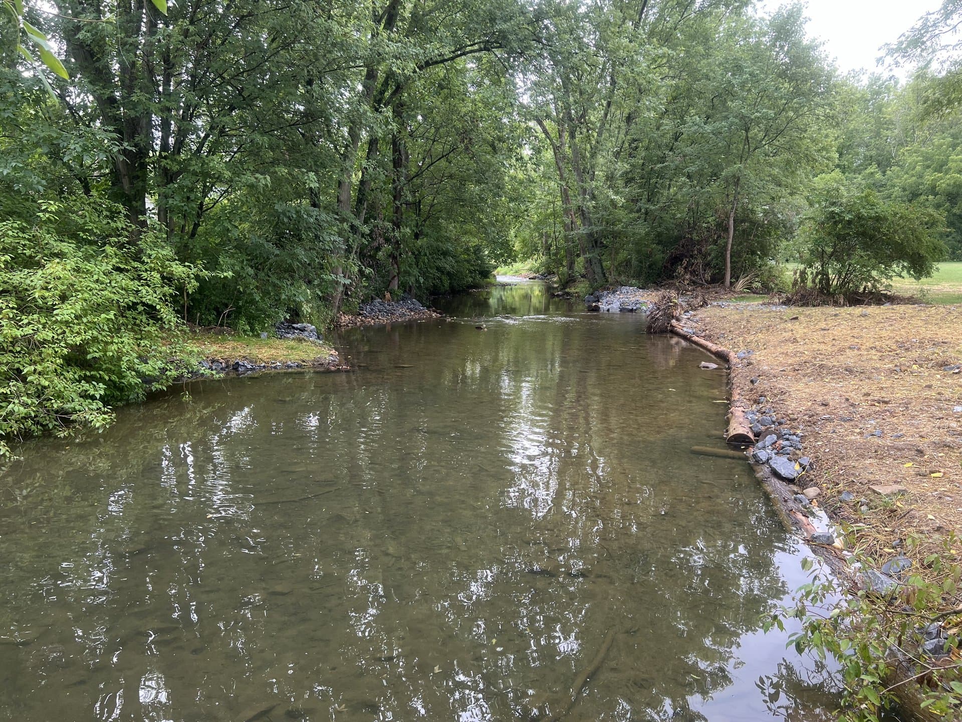 Quiet restored stream pool with log toe and mature trees