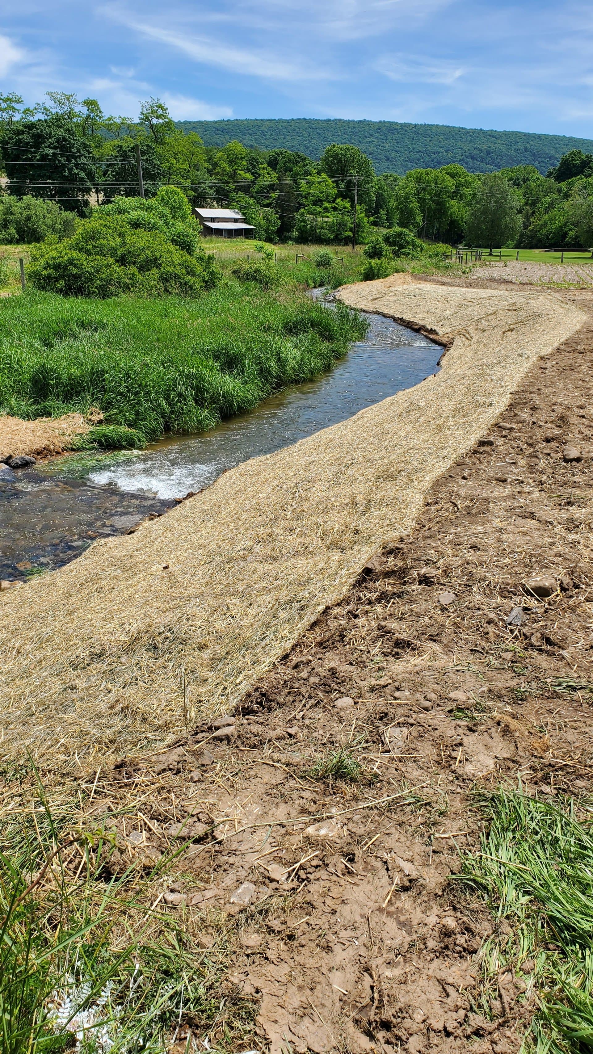 Restored streambank with Pennsylvania ridge line in the background