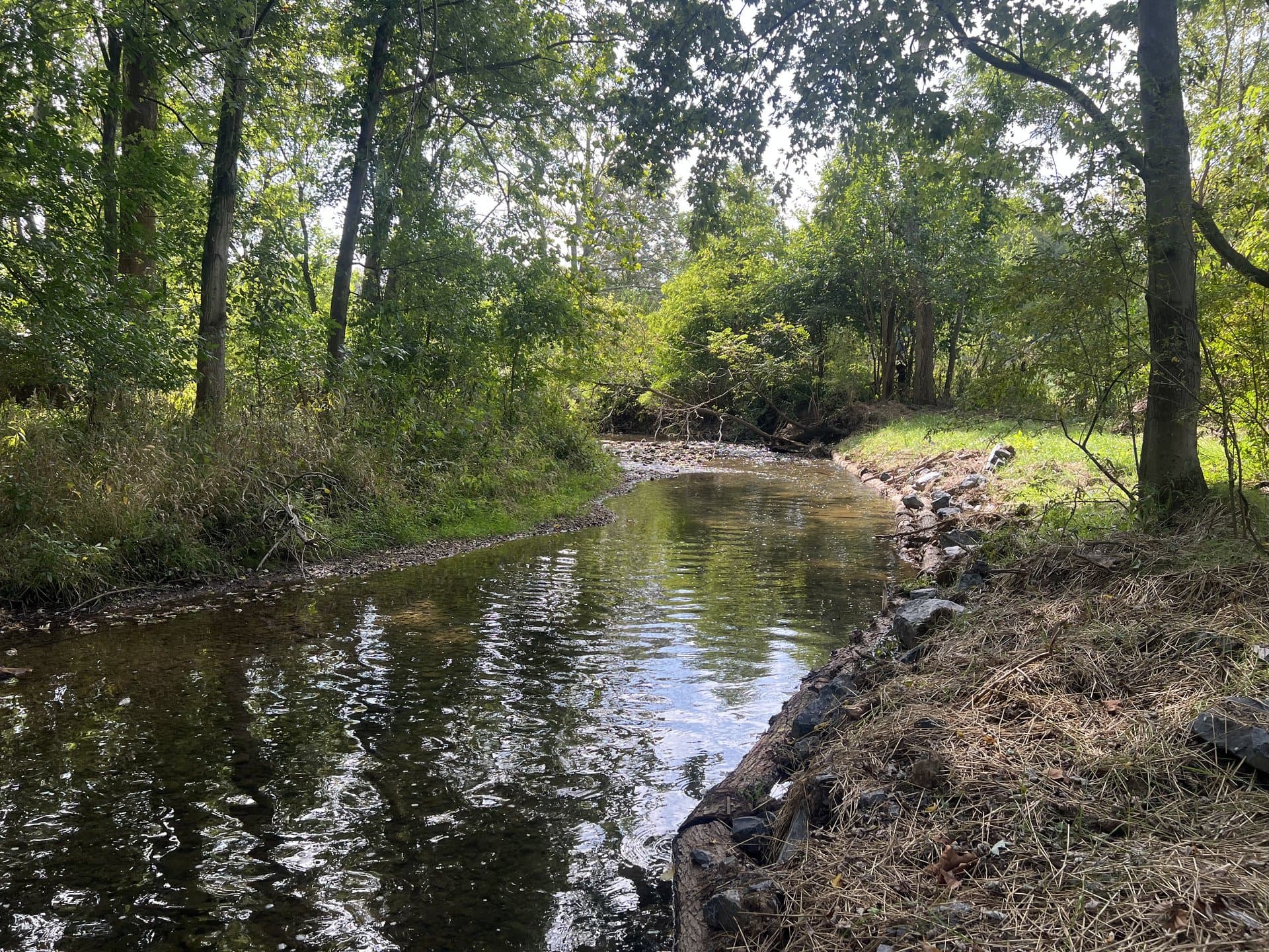 Restored stream channel with stone armor protecting the outer bank
