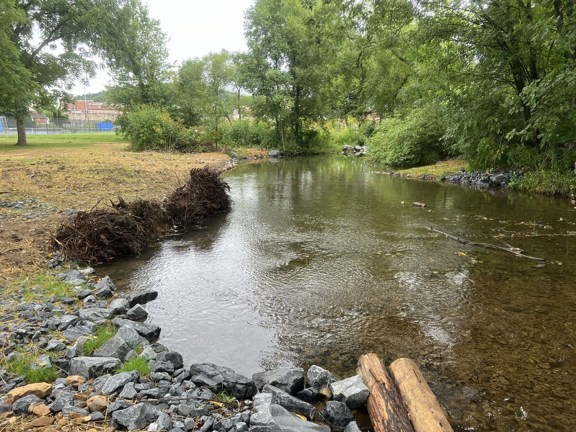 Stream restoration in an urban setting with heavy stone armor and log toe