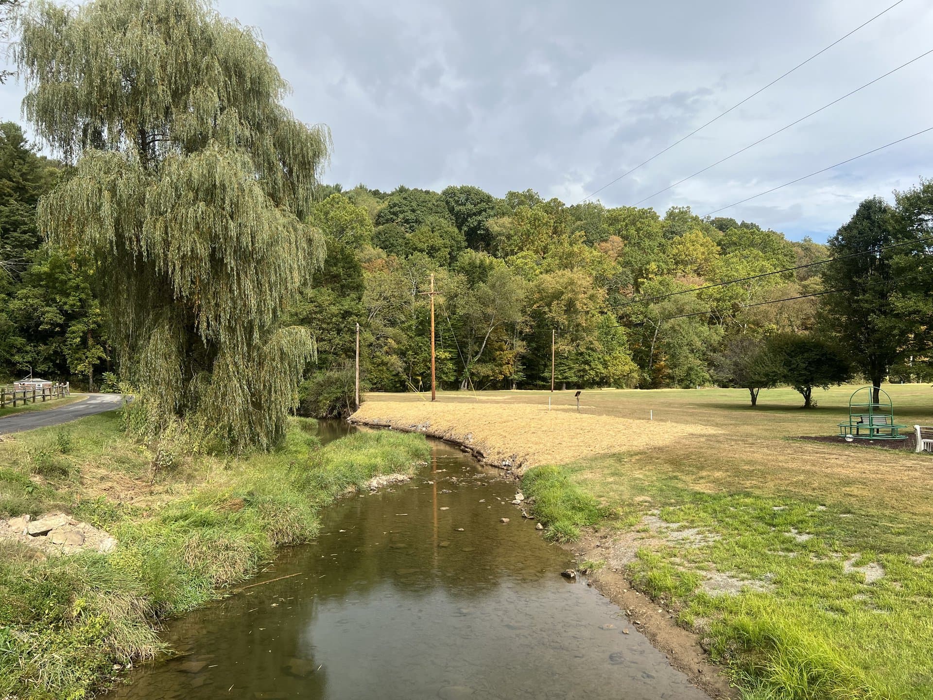 Restored meadow stream with willow tree and pasture in fall colors