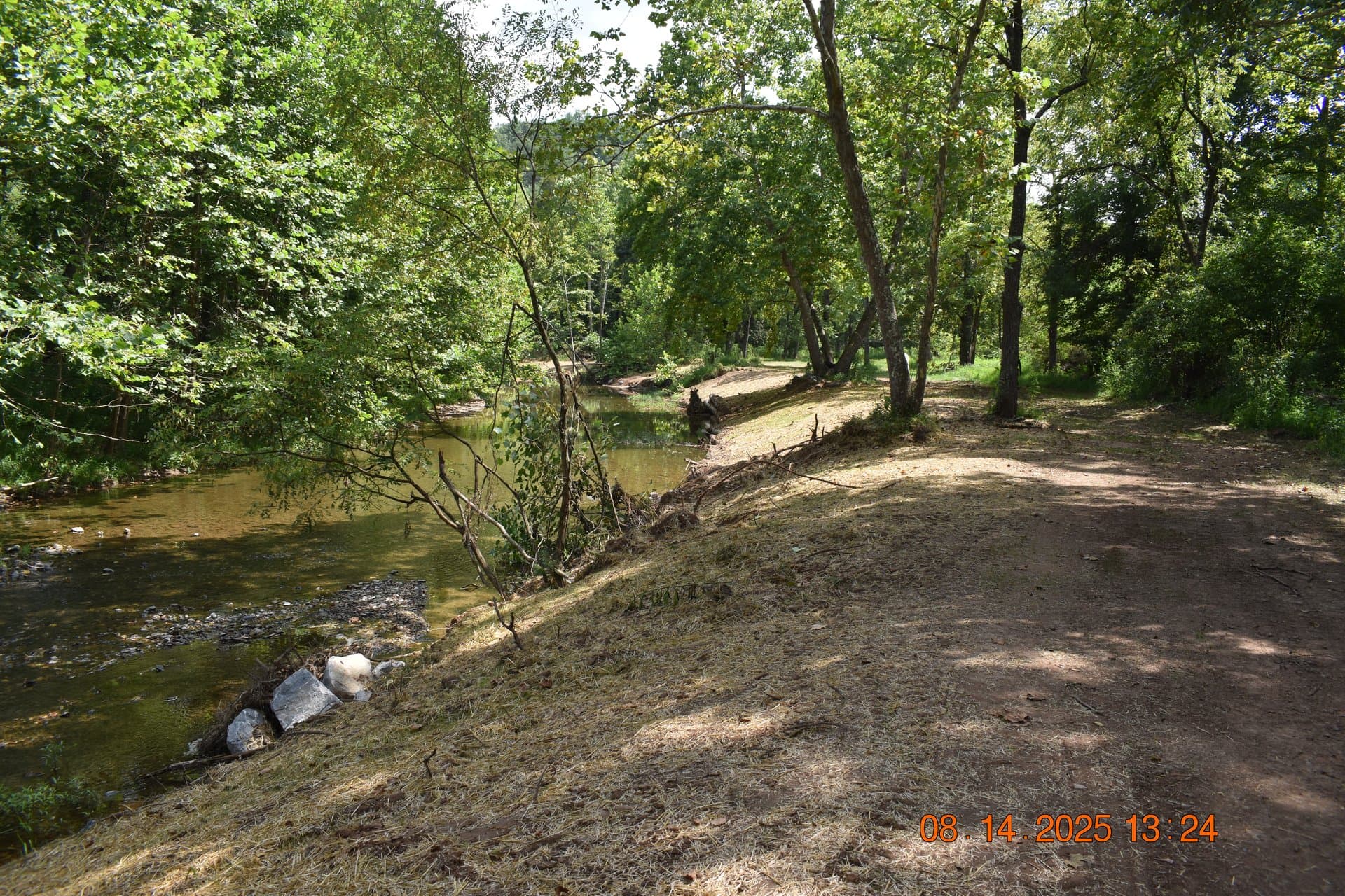 Wooded stream with freshly mulched bank running through Pennsylvania hardwoods